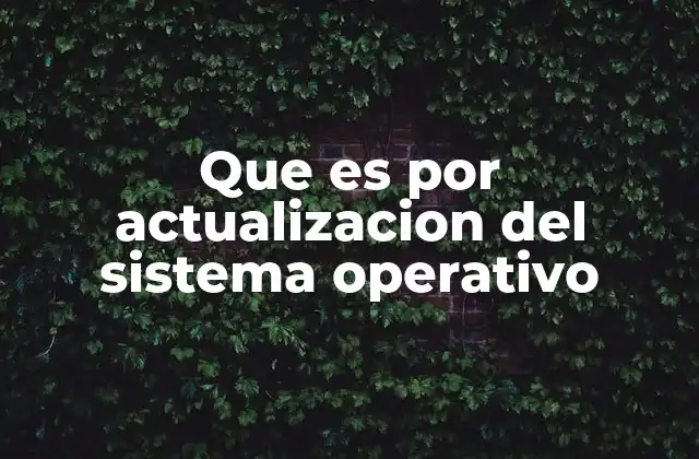 Que es por Actualizacion Del Sistema Operativo