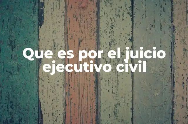 Que es por el Juicio Ejecutivo Civil