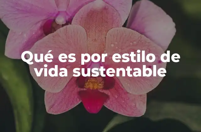 Qué es por Estilo de Vida Sustentable