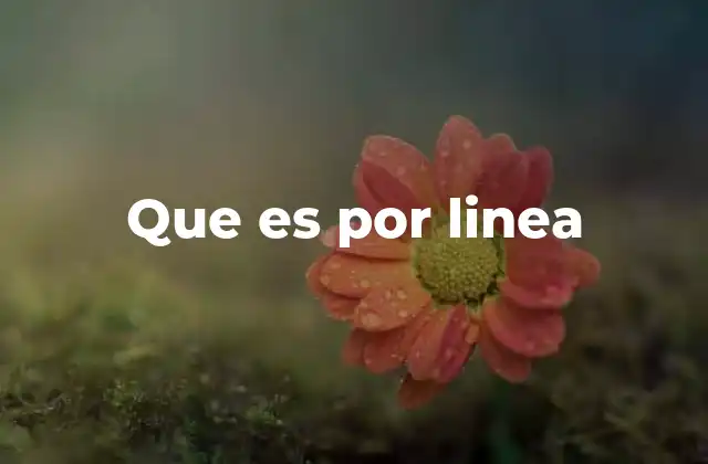 Que es por Linea
