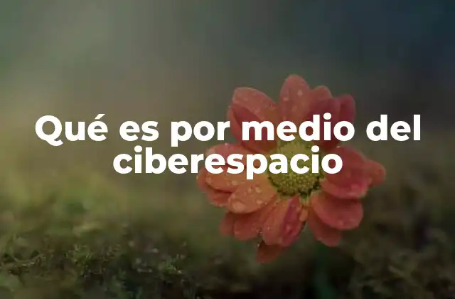 Qué es por Medio Del Ciberespacio