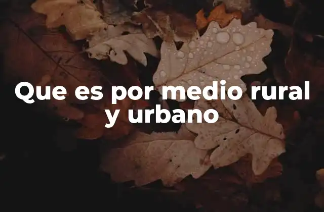Que es por Medio Rural y Urbano