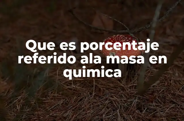 Que es Porcentaje Referido Ala Masa en Quimica