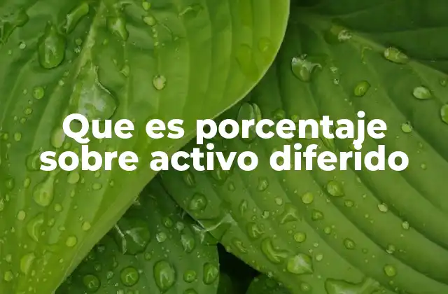 Que es Porcentaje sobre Activo Diferido 2 La importancia del porcentaje sobre activo diferido en la contabilidad