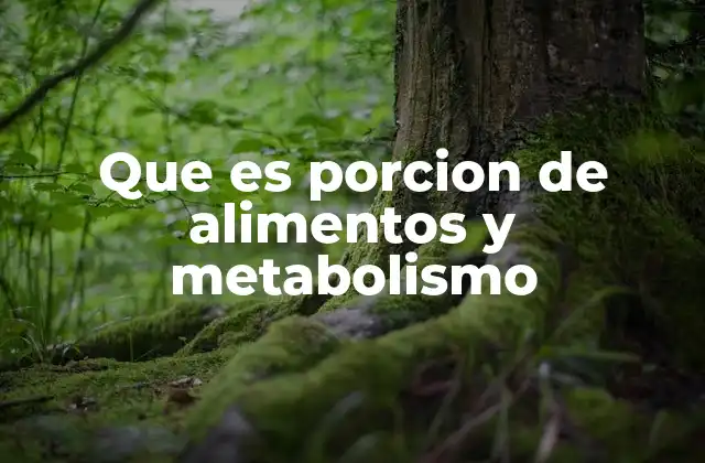 Que es Porcion de Alimentos y Metabolismo