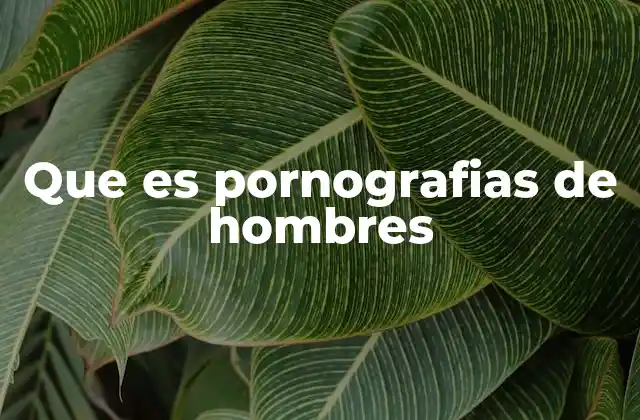 Que es Pornografias de Hombres