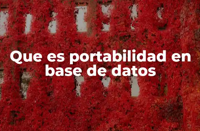Que es Portabilidad en Base de Datos