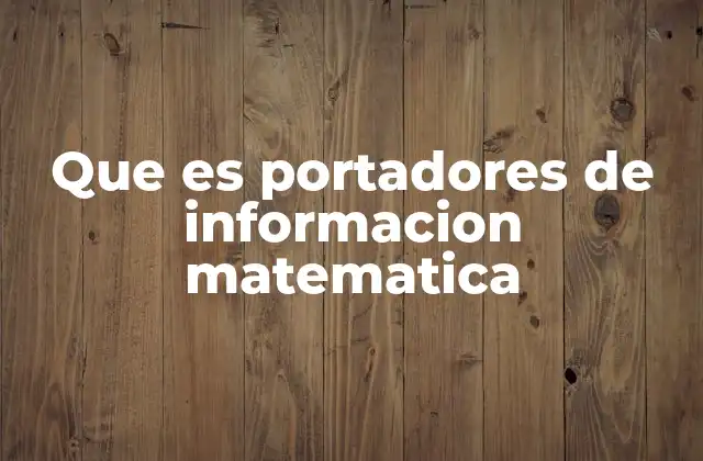 Que es Portadores de Informacion Matematica