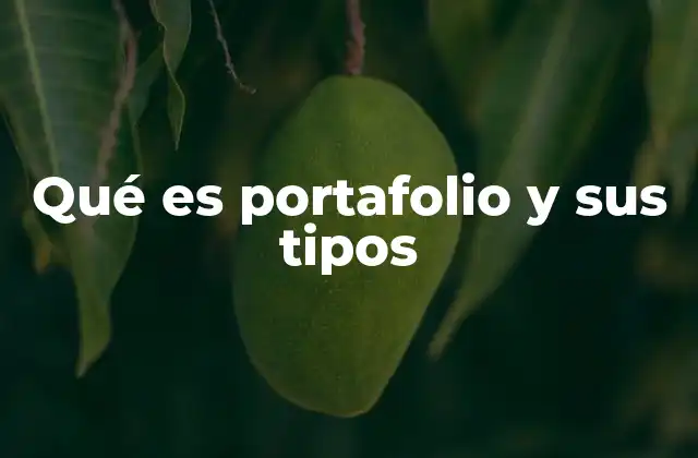 Qué es Portafolio y Sus Tipos