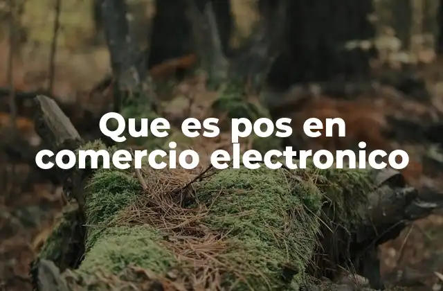 Que es Pos en Comercio Electronico