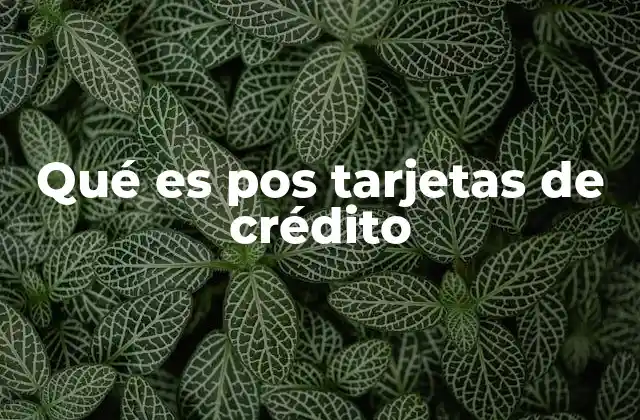 Qué es Pos Tarjetas de Crédito