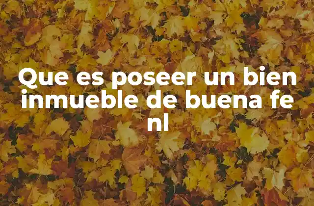 Que es Poseer un Bien Inmueble de Buena Fe Nl