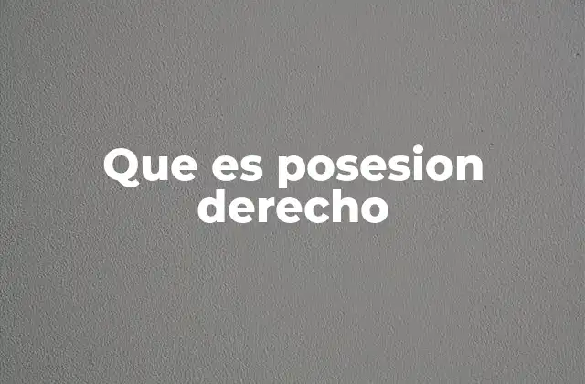 Que es Posesion Derecho
