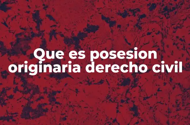 Que es Posesion Originaria Derecho Civil 2 El concepto de posesión originaria sin mencionar directamente la palabra clave