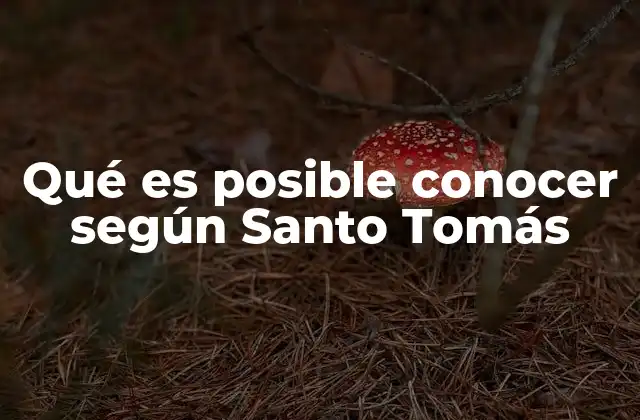 Qué es Posible Conocer según Santo Tomás