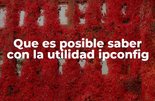 Que es Posible Saber con la Utilidad Ipconfig