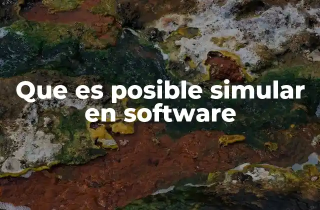 Que es Posible Simular en Software