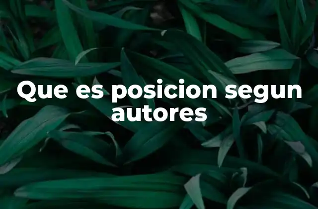 Que es Posicion Segun Autores