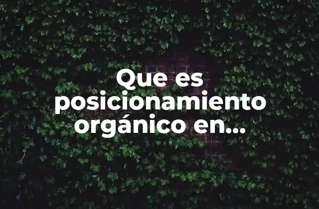 Que es Posicionamiento Orgánico en Buscadores