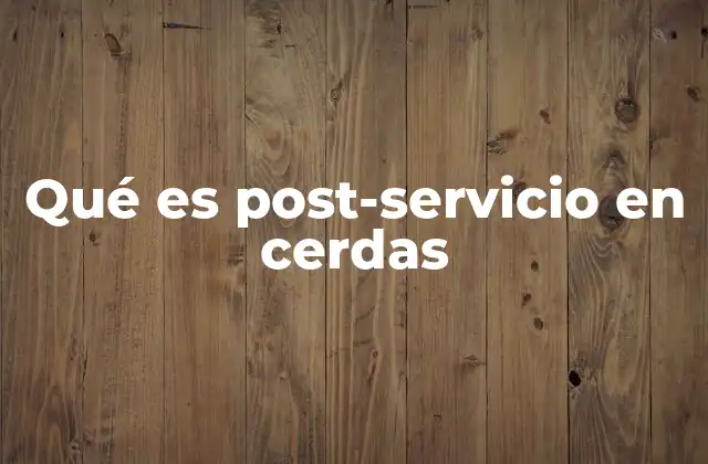 Qué es Post-servicio en Cerdas