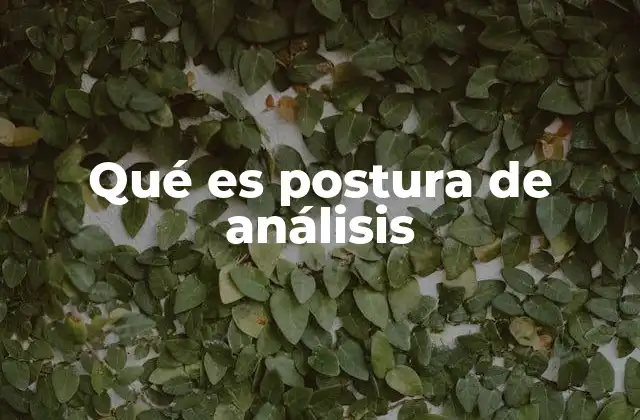 Qué es Postura de Análisis