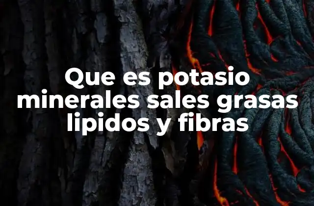 Que es Potasio Minerales Sales Grasas Lipidos y Fibras
