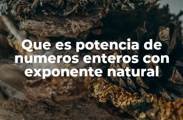 Que es Potencia de Numeros Enteros con Exponente Natural