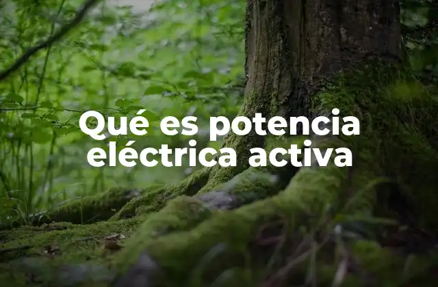 Qué es Potencia Eléctrica Activa