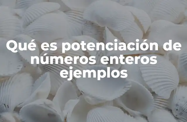 Características y propiedades de la potenciación en números enteros