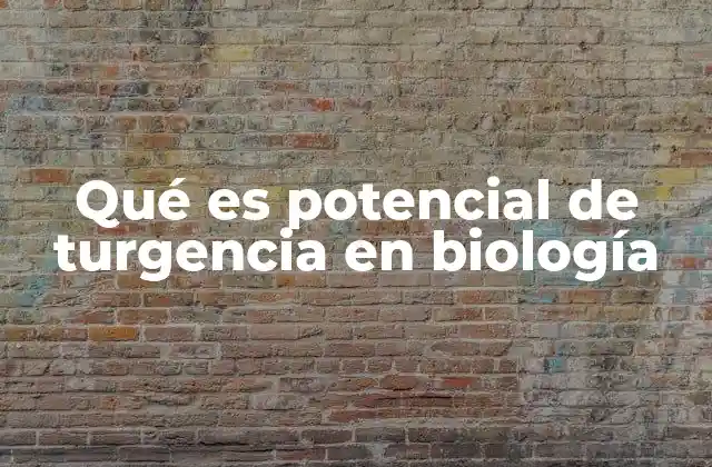 Qué es Potencial de Turgencia en Biología