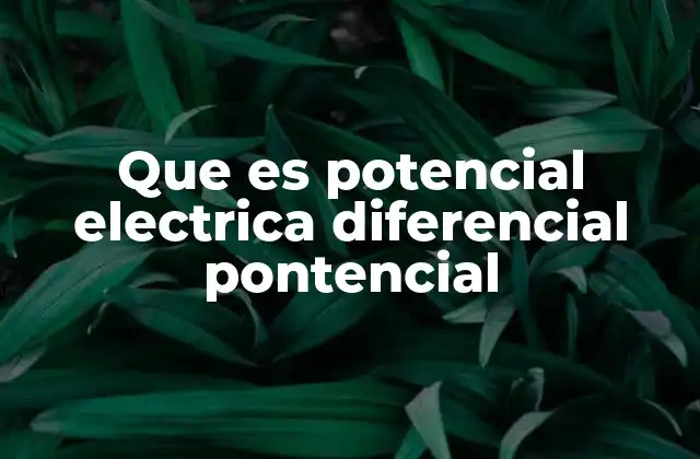Que es Potencial Electrica Diferencial Pontencial