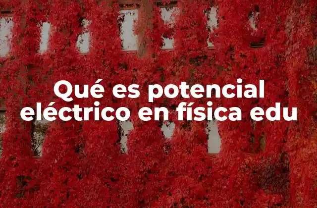 Qué es Potencial Eléctrico en Física Edu