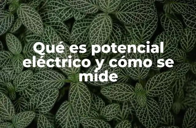 Qué es Potencial Eléctrico y Cómo Se Mide