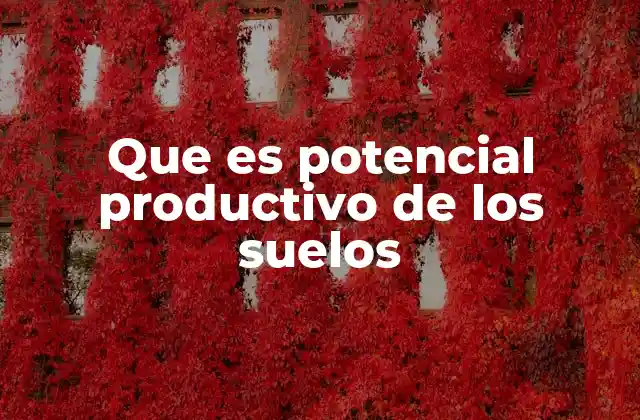 Que es Potencial Productivo de los Suelos