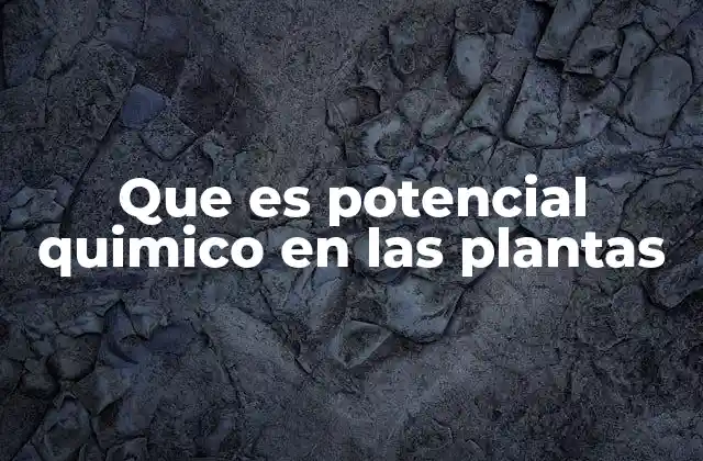 Que es Potencial Quimico en las Plantas