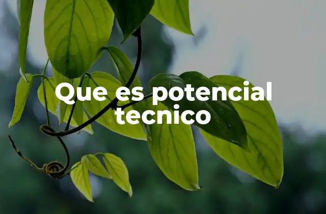 Que es Potencial Tecnico