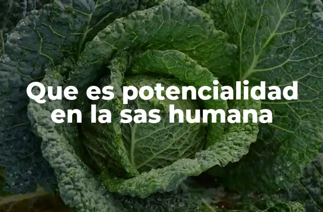 Que es Potencialidad en la Sas Humana