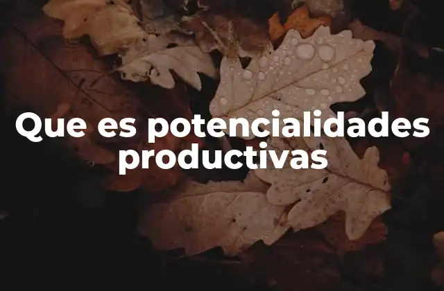 Que es Potencialidades Productivas