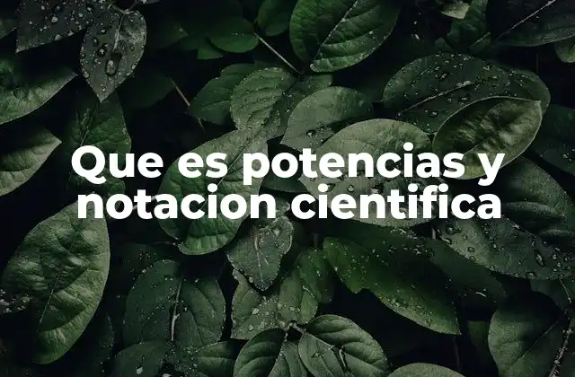 Que es Potencias y Notacion Cientifica