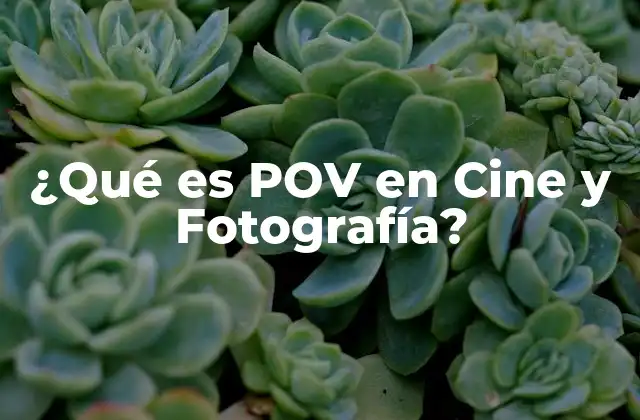 ¿qué es Pov en Cine y Fotografía?