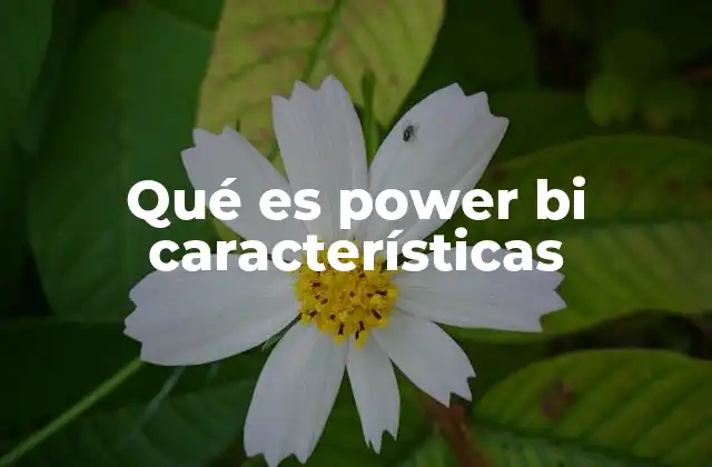 Qué es Power Bi Características