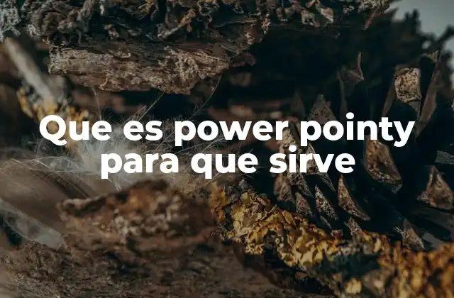 Que es Power Pointy para que Sirve