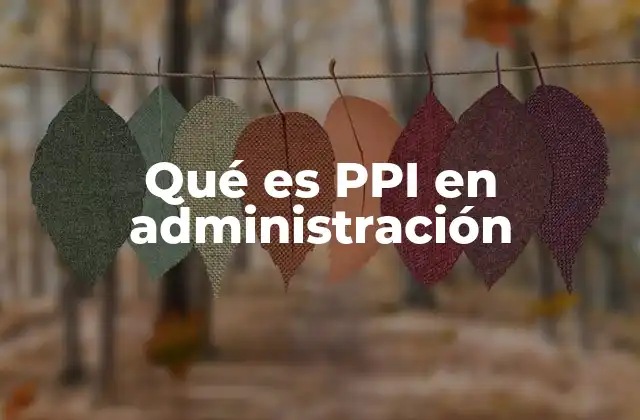 La importancia del PPI en la gestión organizacional