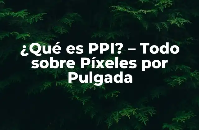 ¿qué es Ppi? – Todo sobre Píxeles por Pulgada