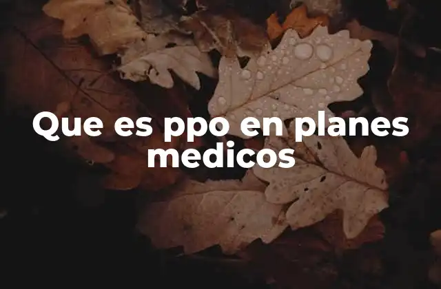 Características distintivas de los planes PPO