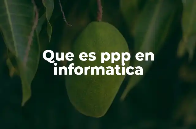 Que es Ppp en Informatica