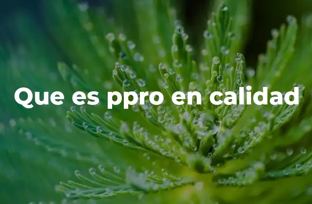 Que es Ppro en Calidad