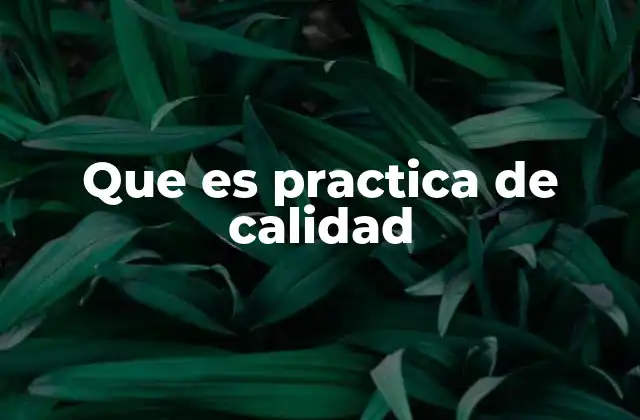 Que es Practica de Calidad