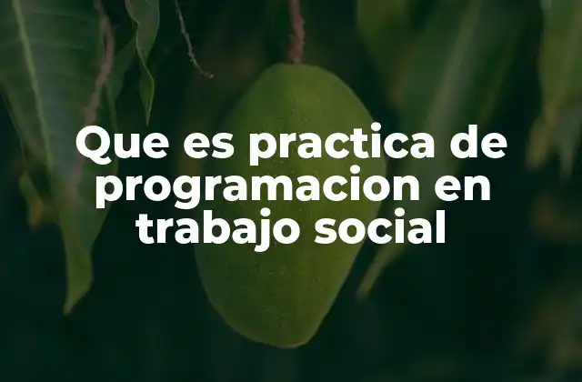 Que es Practica de Programacion en Trabajo Social 2 El rol de la programación en el diseño de intervenciones sociales