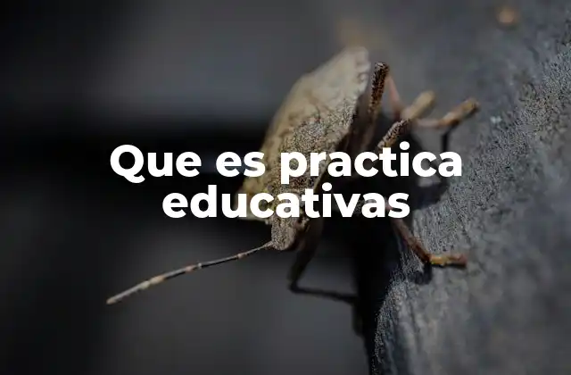 Que es Practica Educativas